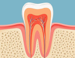 Supreme Dental Group